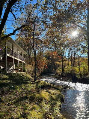 View from the creek