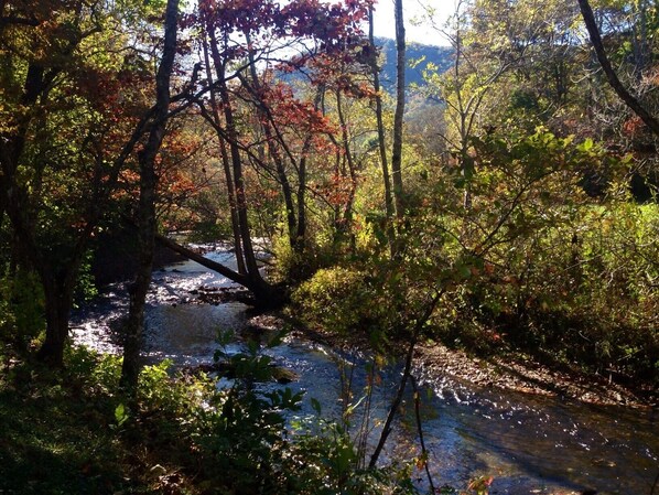 Fall view from the cabin