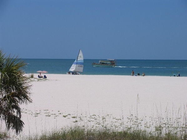 Sailboats and dolphin rides pass daily.