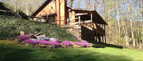 Springtime at the Johnson Branch cabin.Phlox in full bloom.