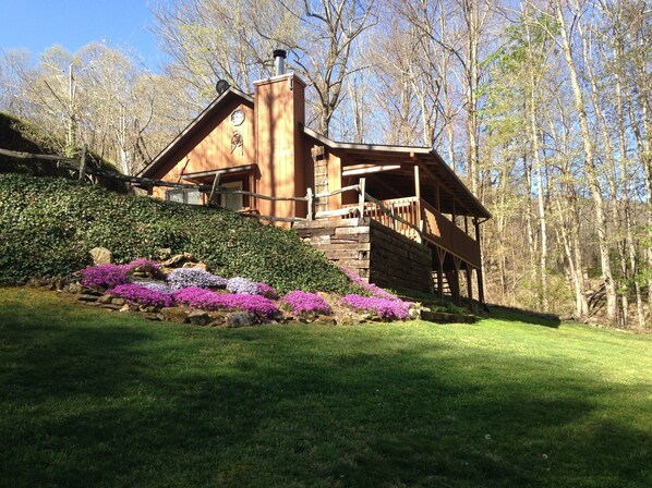 Springtime at the Johnson Branch cabin.Phlox in full bloom.