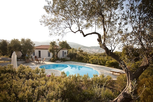 Cottage and pool