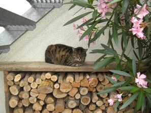 Photo non classée, 5 sur 12, bouton