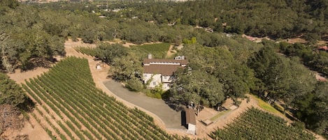 The home is surrounded by vineyard with a stunning view of Calistoga.