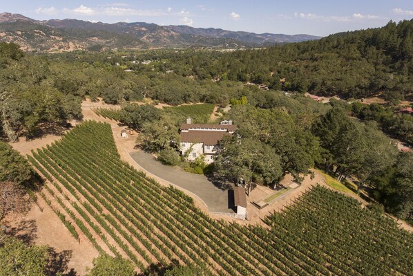 The home is surrounded by vineyard with a stunning view of Calistoga.