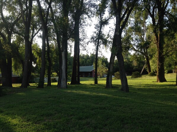 Property grounds
