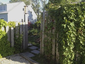 Entrance to house from driveway