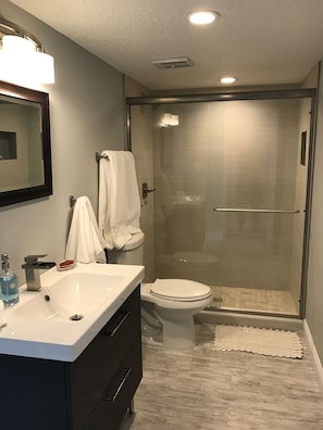 Master bathroom 