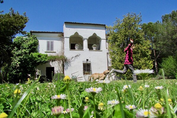 Front garden with moorish arches ... and some special guests !