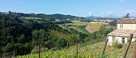 Terrain de l’hébergement 