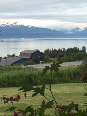 Bleeding Hearts overlooking Kachemak Bay & the Homer Spit