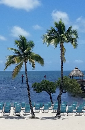 Ocean side Condo & Marina Resort at Ocean Pointe. Tavernier, Florida Keys.