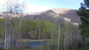 Spring View from the Second Floor Deck 2017