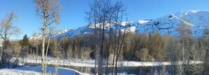 Winter View from the Second Floor Deck 2017