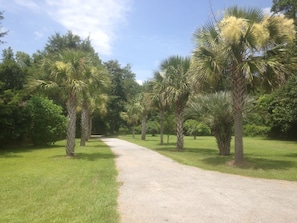 Welcome to 9 Sunmist Cottage!