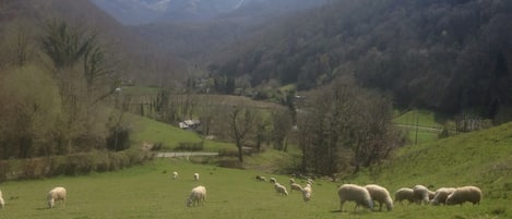 Vue sur le fond de la vallée