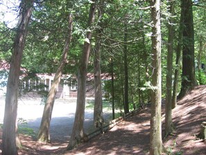 path to cabin