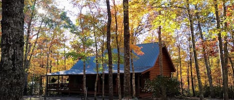 Front of cabin 