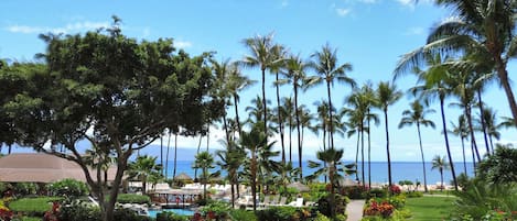 View from the lanai. 