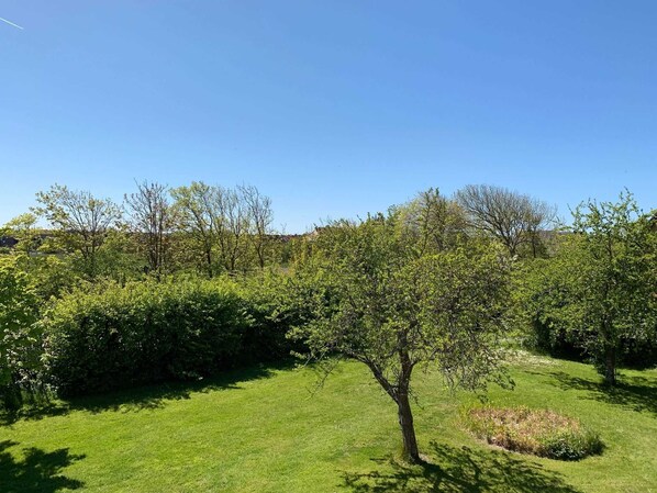 Blick in die parkähnliche Grünanlage