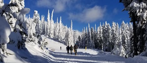 Another Blue Bird Day on the Mountain
