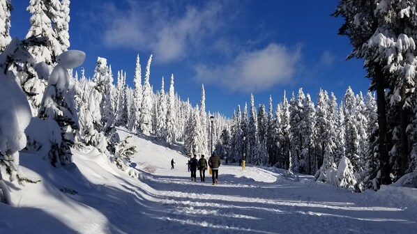 Skidåkning och snöaktiviteter