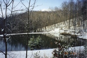 view of the pond in winter splendor.