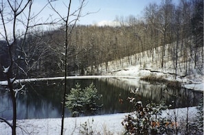 view of the pond in winter splendor.