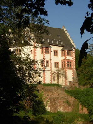 Die Mildenburg oberhalb der Ferienwohnung