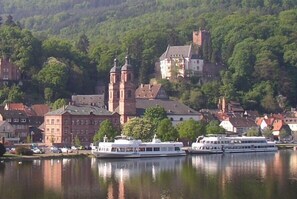 Eine Schifffahrt auf dem Main in Miltenberg