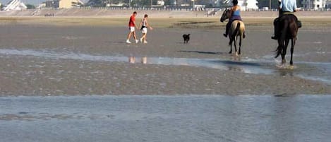 Vu de la plage...