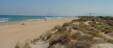 Der wunderschöne Dünenstrand