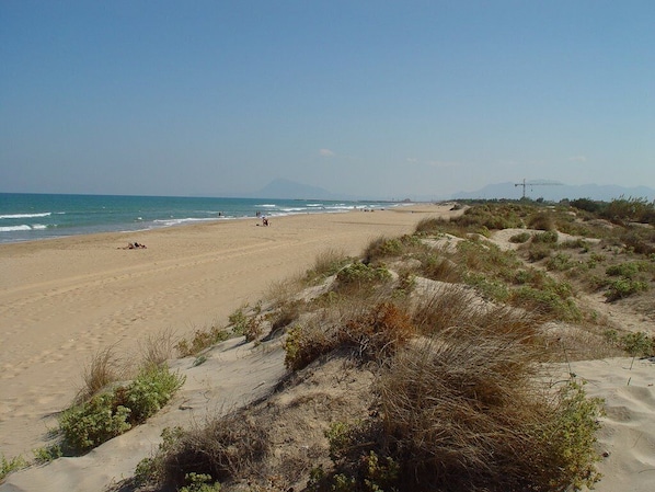 Der wunderschöne Dünenstrand