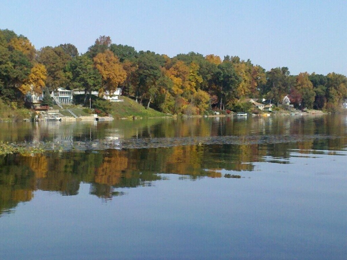 Main Image