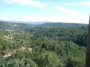 View from the roof terrace