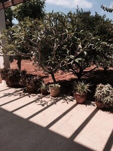 Picture of villa