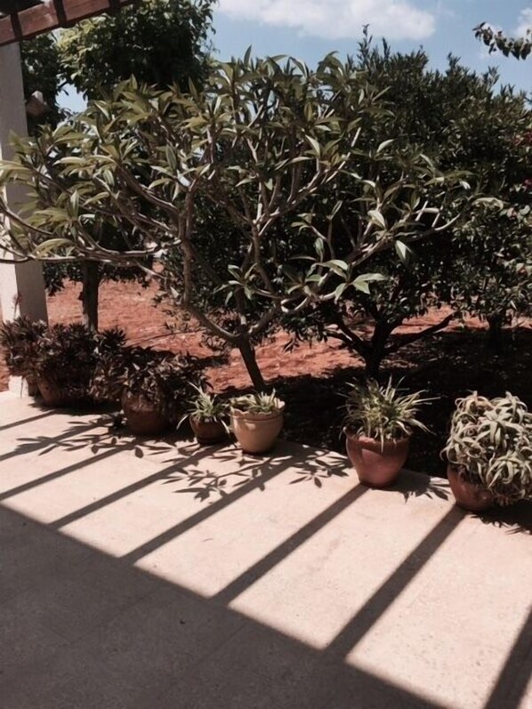 ERINI VILLA FRONT PATIO
