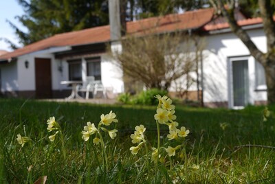 Bisingen, idyllic detached house with garden, fenced, pets allowed