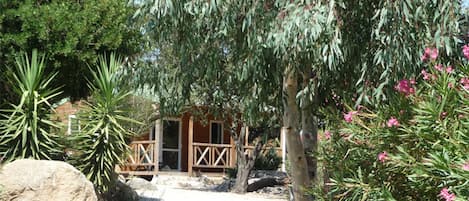 joli chalet en bois en pleine verdure à quelques minutes de la plage