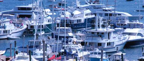 This is a shot of a packed marina out towards the mouth of Somes Sound 