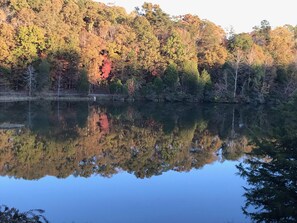 Enjoy the fall leaves (photo taken in November)