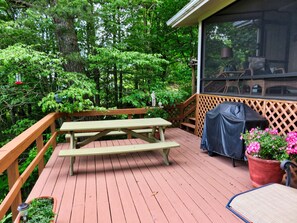 Lower deck is open to a the same beautiful view, has a swing, BBQ and birds! 