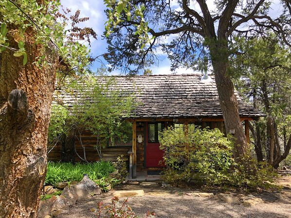 The Bungalow entrance in Spring. Beautiful and Cozy garden right out the door.