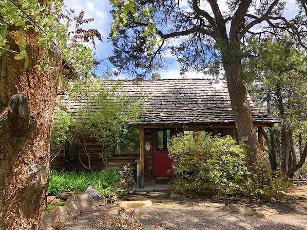 The Bungalow entrance in Spring. Beautiful and Cozy garden right out the door.