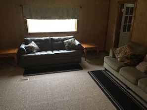 Full size sofa bed in living area