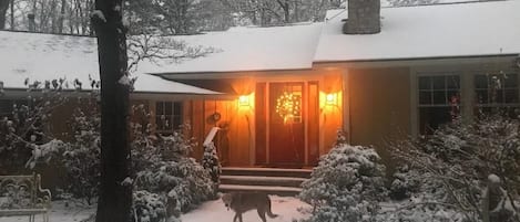 new snow fall...makes everything beautifully white and sparkling in winter!