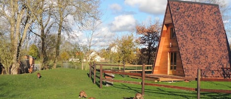 Terrain de l’hébergement 