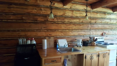  "Loon's Nest" rustic cabin hidden amongst the pines 