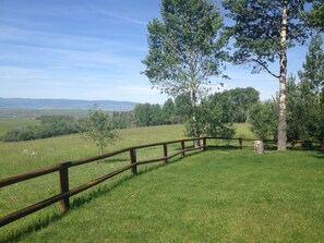 View from Front Porch