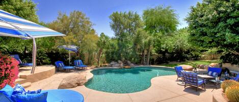 Relaxing pool and oasis!! 